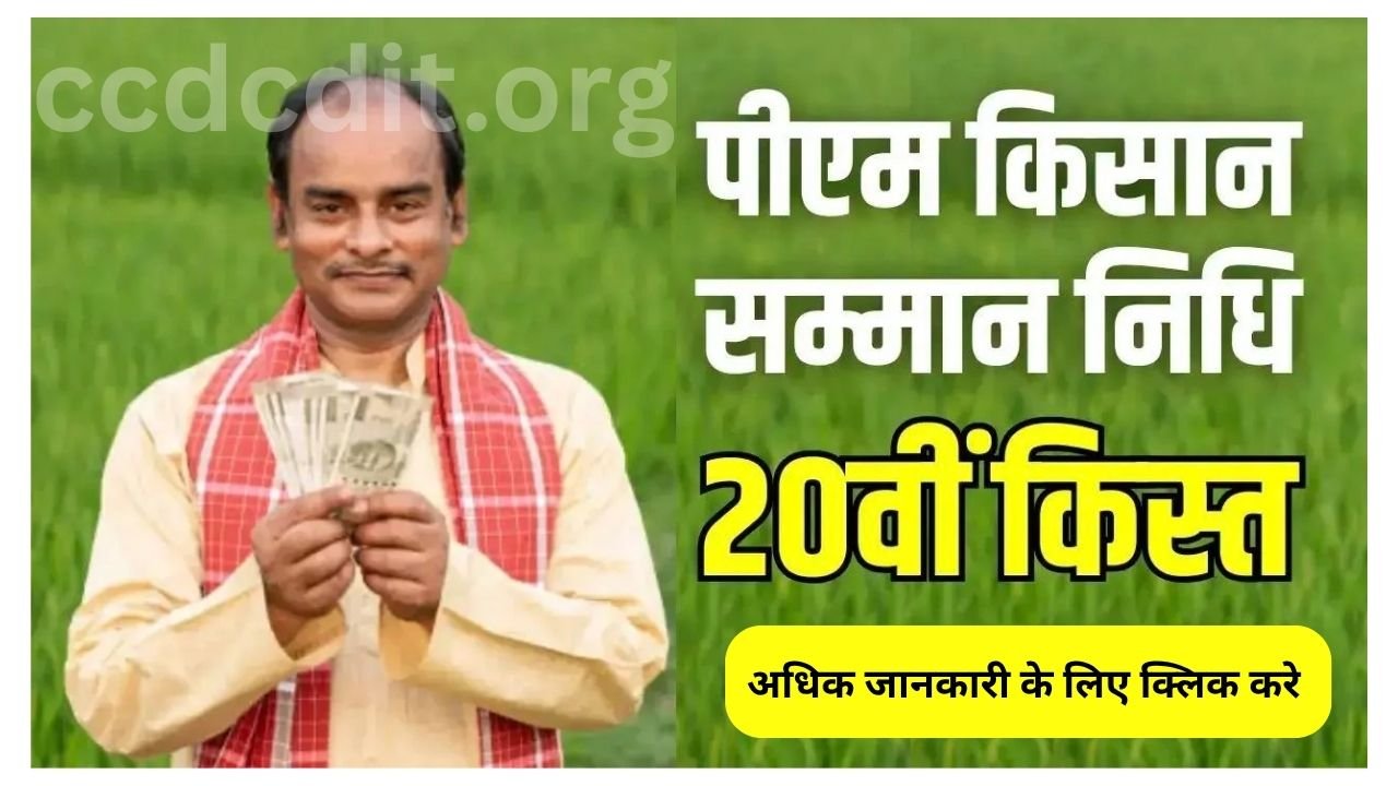 PM Kisan Yojana 20th kist: किसानों के लिए खुशखबरी, जानें कब जारी होगी पीएम किसान योजना की 20वीं किस्त